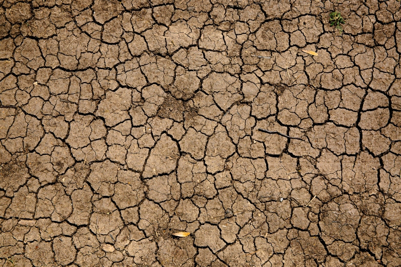 desertification and drought